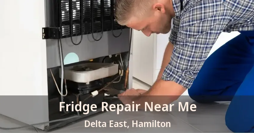 Fridge Repair Near Me Delta East, Hamilton - ON
