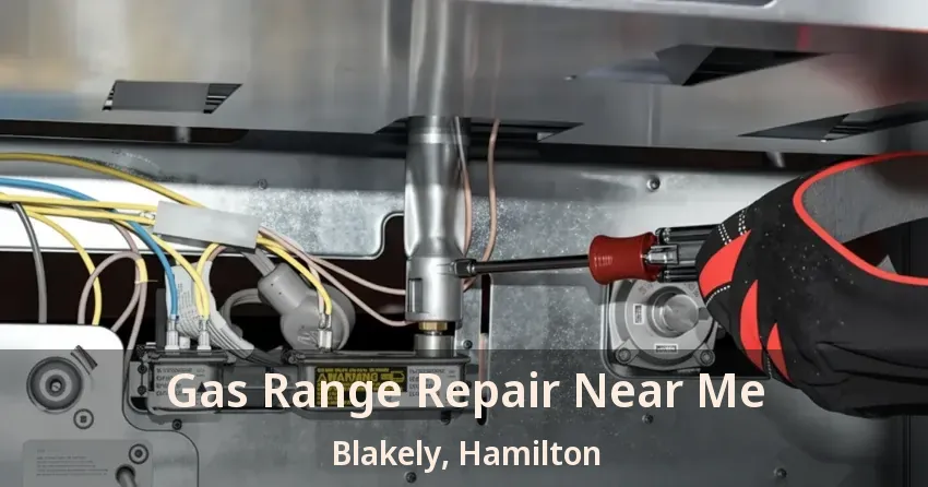 Gas Range Repair Near Me Blakely, Hamilton - ON