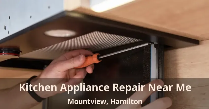 Kitchen Appliance Repair Near Me Mountview, Hamilton - ON
