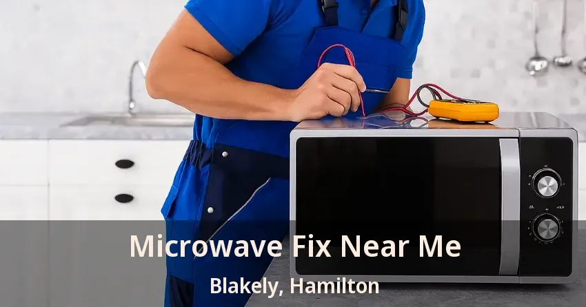 Microwave Fix Near Me Blakely, Hamilton - ON