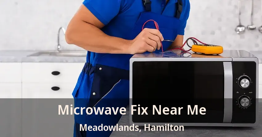 Microwave Fix Near Me Meadowlands, Hamilton - ON