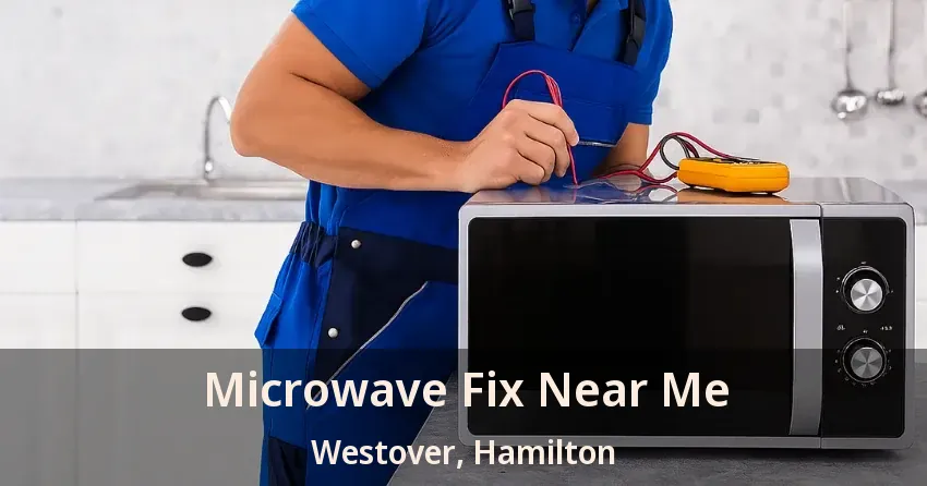 Microwave Fix Near Me Westover, Hamilton - ON