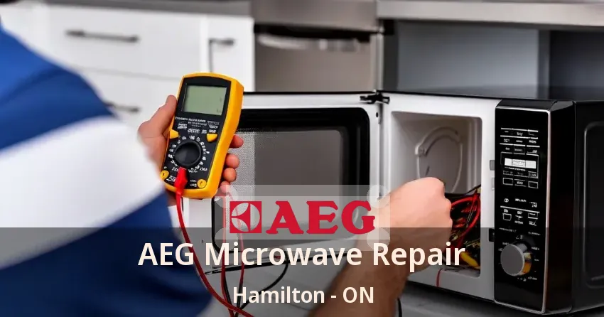 AEG Microwave Repair Hamilton - ON