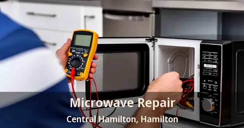 Microwave Repair Central Hamilton, Hamilton - ON