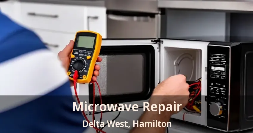 Microwave Repair Delta West, Hamilton - ON