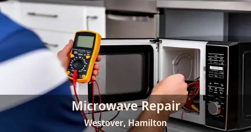 Microwave Repair Westover, Hamilton - ON