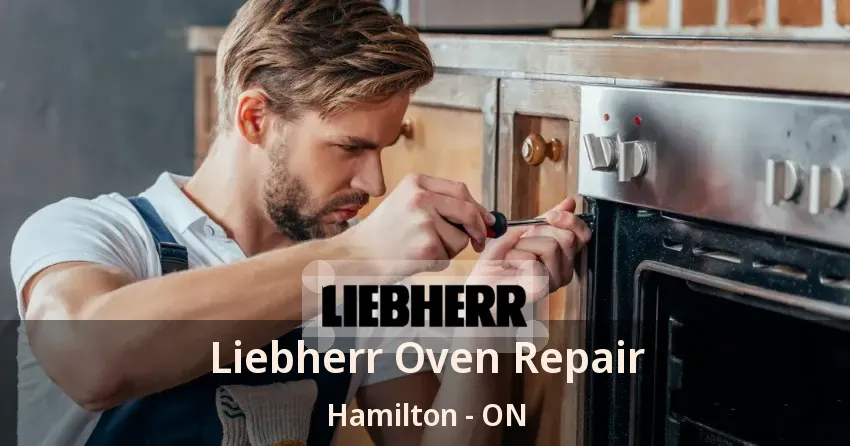 Liebherr Oven Repair Hamilton - ON