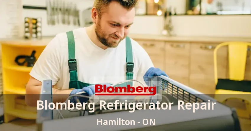 Blomberg Refrigerator Repair Hamilton - ON
