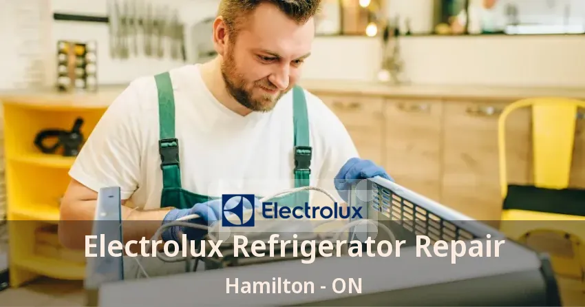 Electrolux Refrigerator Repair Hamilton - ON