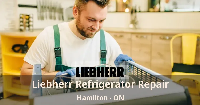 Liebherr Refrigerator Repair Hamilton - ON