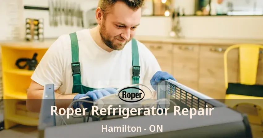 Roper Refrigerator Repair Hamilton - ON