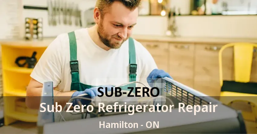 Sub Zero Refrigerator Repair Hamilton - ON