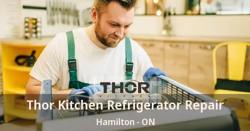 Thor Kitchen Refrigerator Repair Hamilton - ON