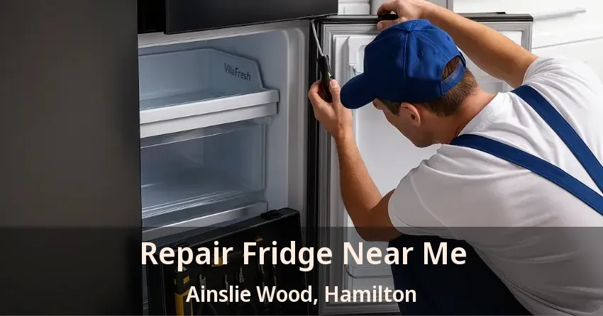 Repair Fridge Near Me Ainslie Wood, Hamilton - ON