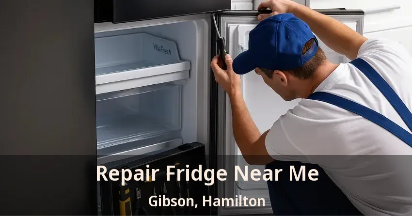 Repair Fridge Near Me Gibson, Hamilton - ON