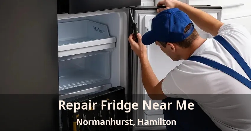 Repair Fridge Near Me Normanhurst, Hamilton - ON