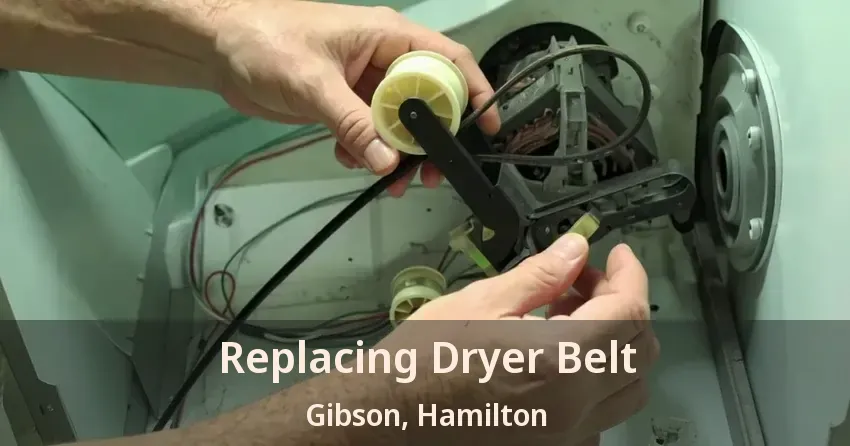 Replacing Dryer Belt Gibson, Hamilton - ON