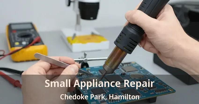 Small Appliance Repair Chedoke Park, Hamilton - ON