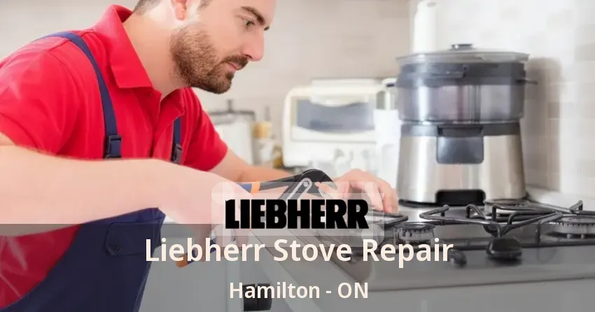 Liebherr Stove Repair Hamilton - ON