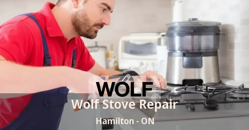 Wolf Stove Repair Hamilton - ON