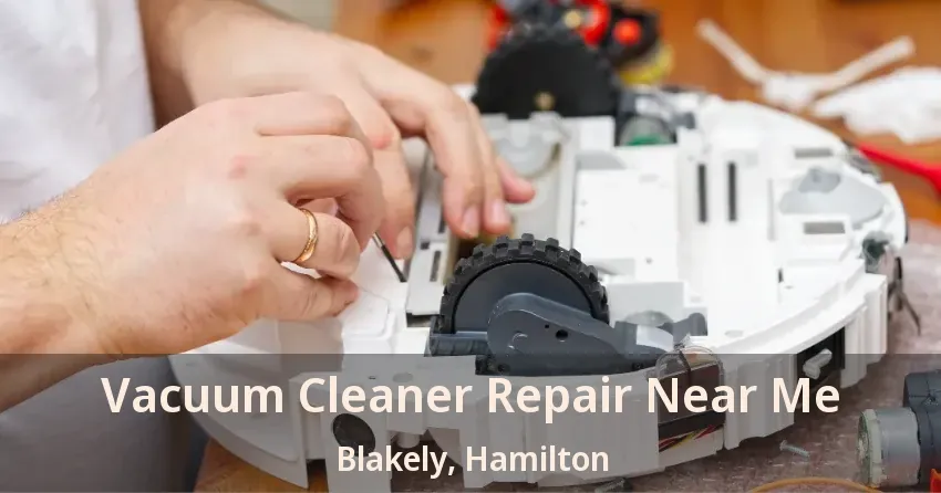 Vacuum Cleaner Repair Near Me Blakely, Hamilton - ON