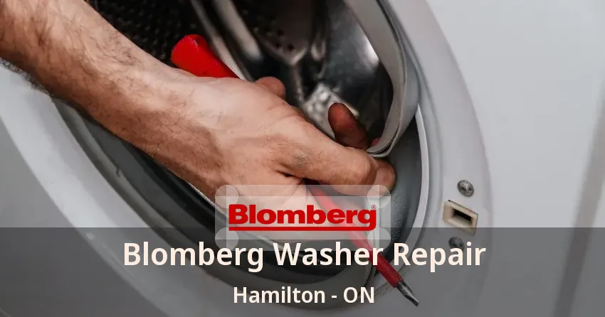 Blomberg Washer Repair Hamilton - ON