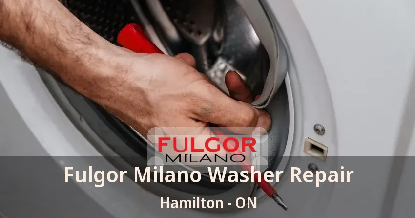 Fulgor Milano Washer Repair Hamilton - ON