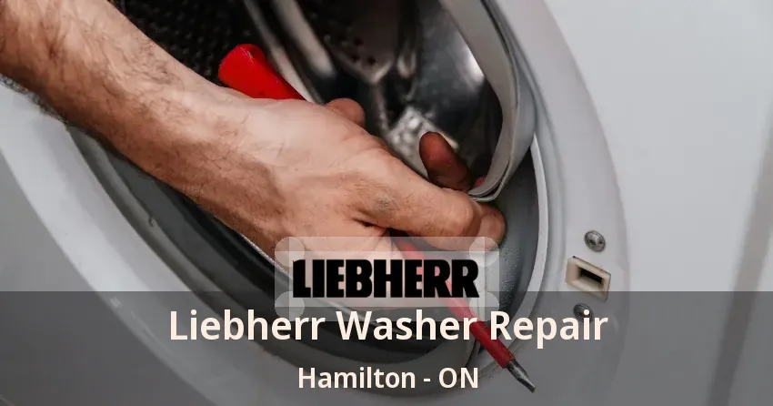 Liebherr Washer Repair Hamilton - ON