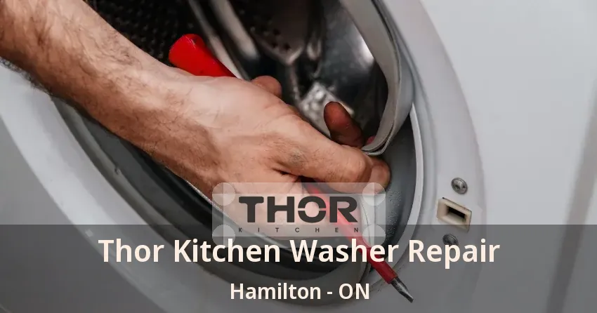 Thor Kitchen Washer Repair Hamilton - ON
