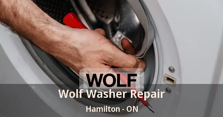 Wolf Washer Repair Hamilton - ON